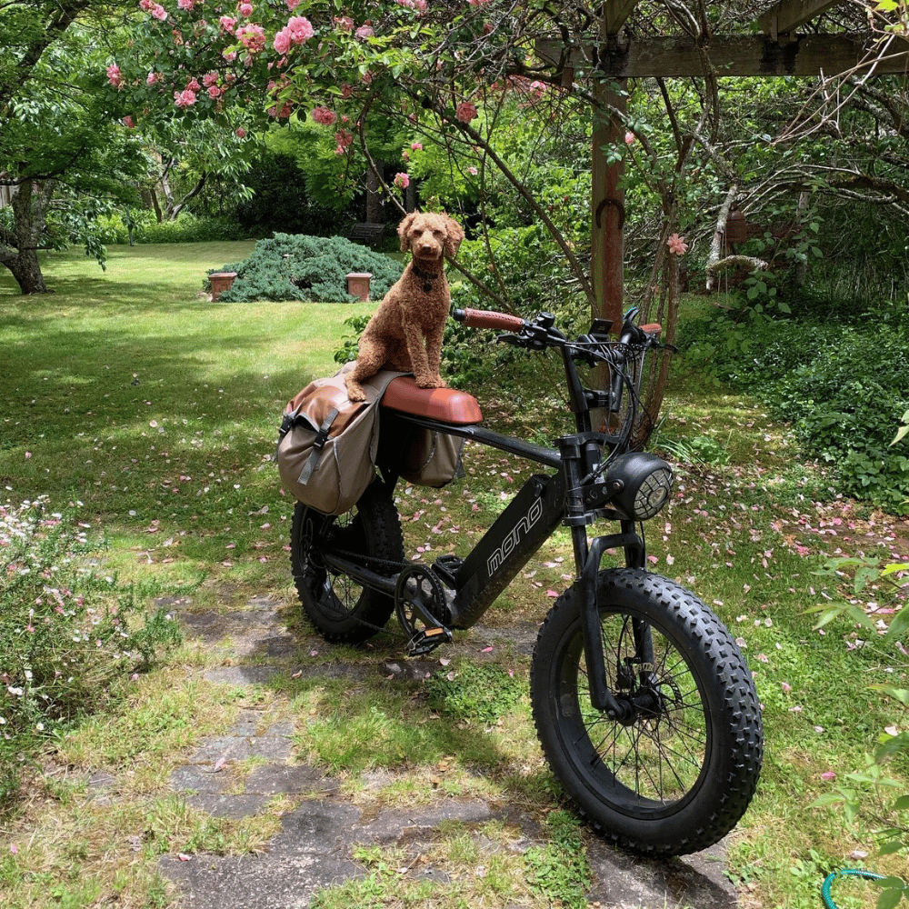 Is the electric cycle worth buying?