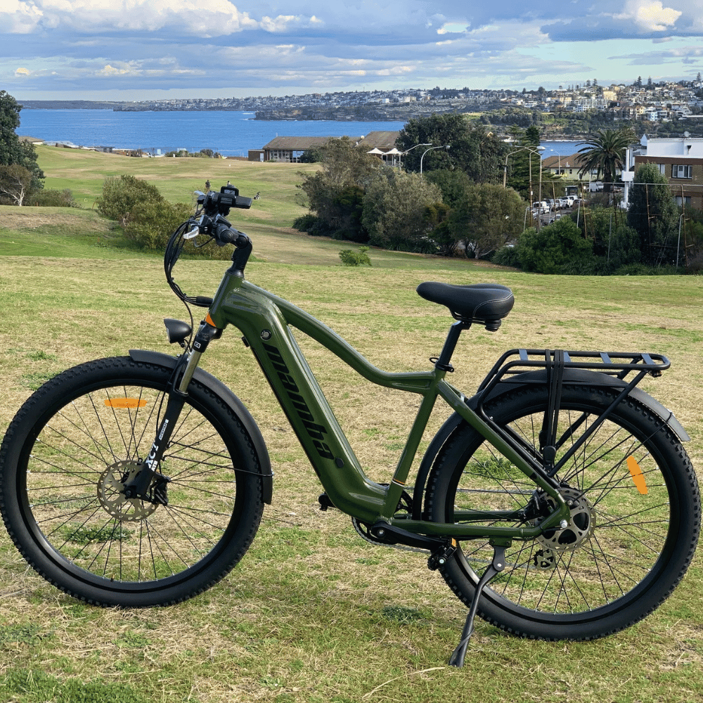 Mamba Venom Antidote | E-Bike