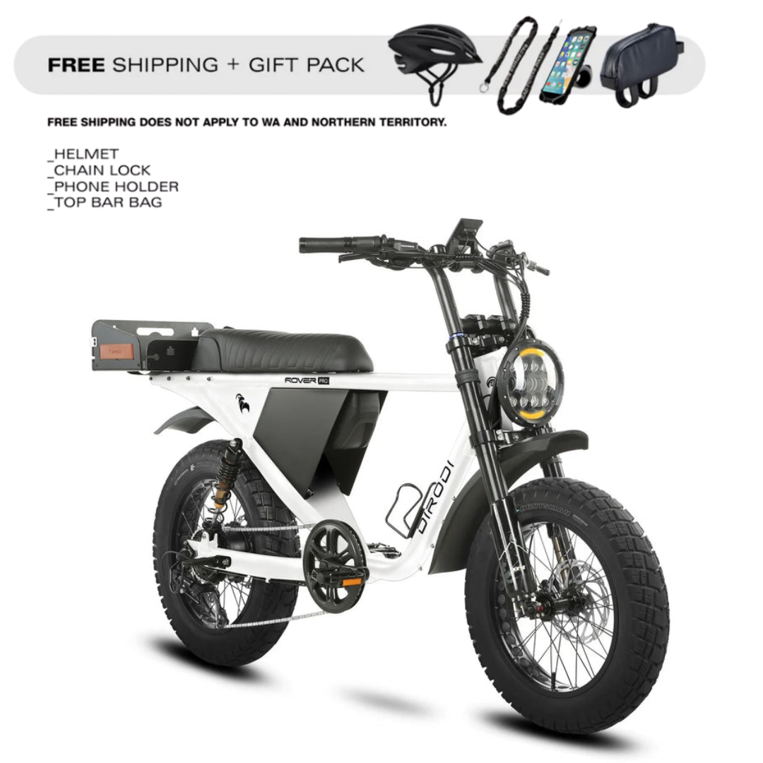 DiroDi Rover PRO 250W/500W Fat Tyre Electric Bike