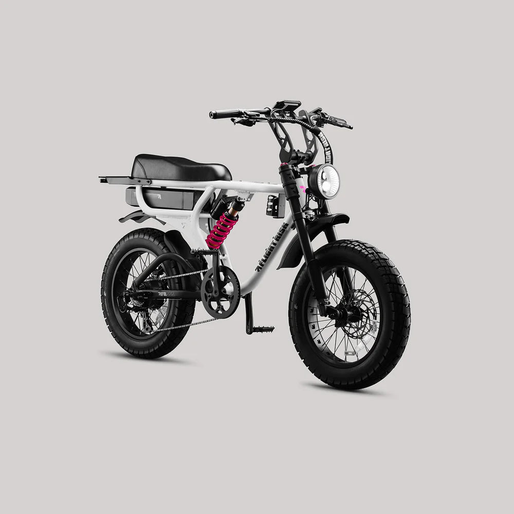 FR555 Flight RIsk - Fat Tyre Electric Bike