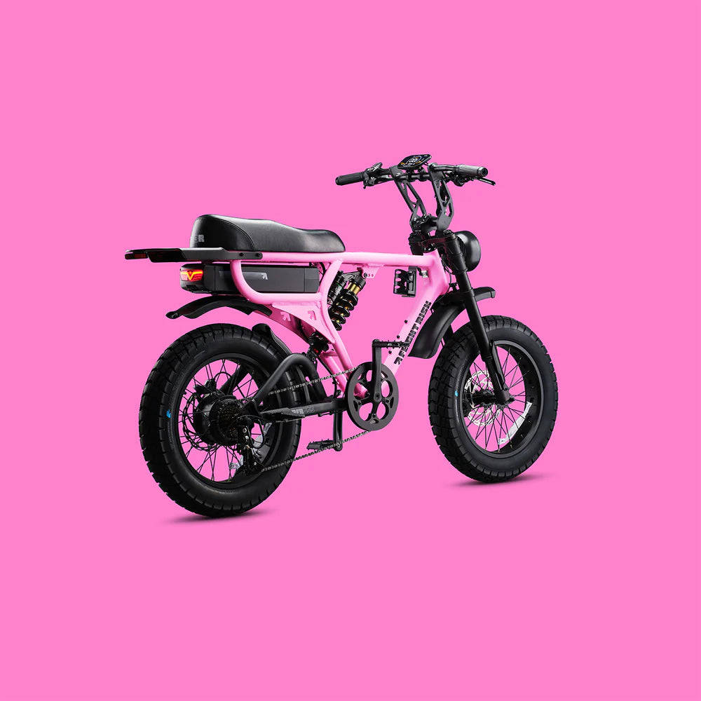 FR555 Flight RIsk - Fat Tyre Electric Bike