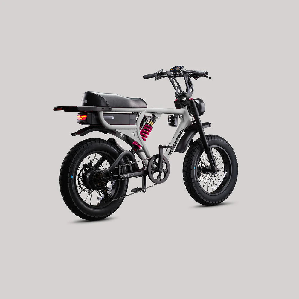 FR555 Flight RIsk - Fat Tyre Electric Bike