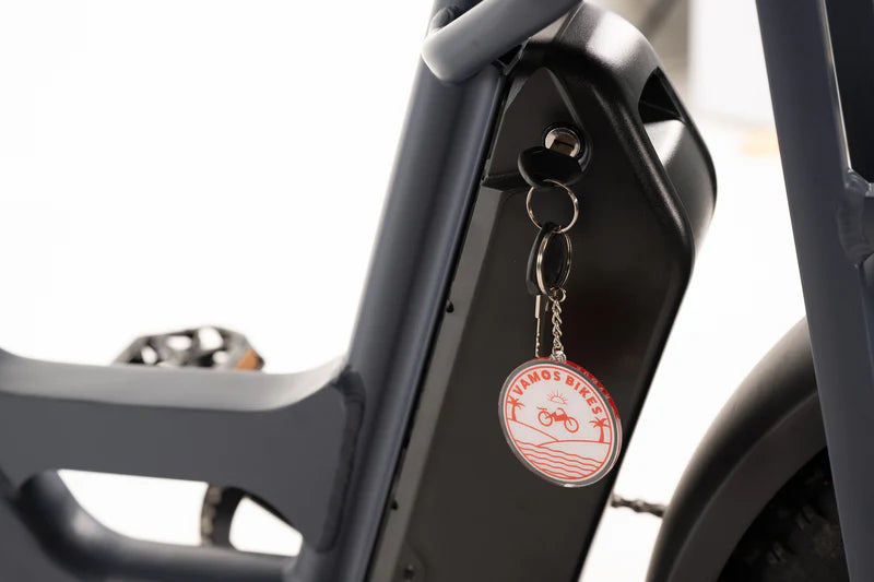 Vamos Amigo 2024 Compact Cargo E-Bike