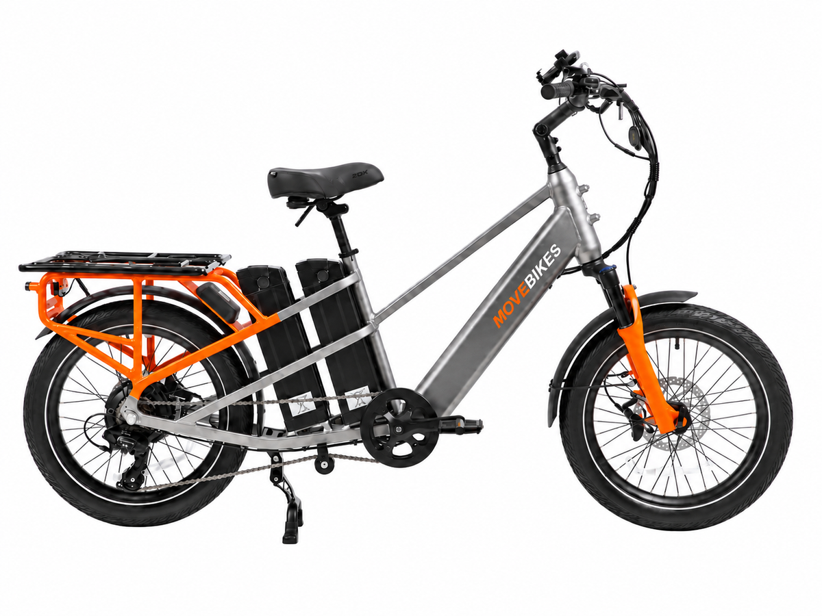 Cargo Delivery Bike (up to 16 hours of riding)