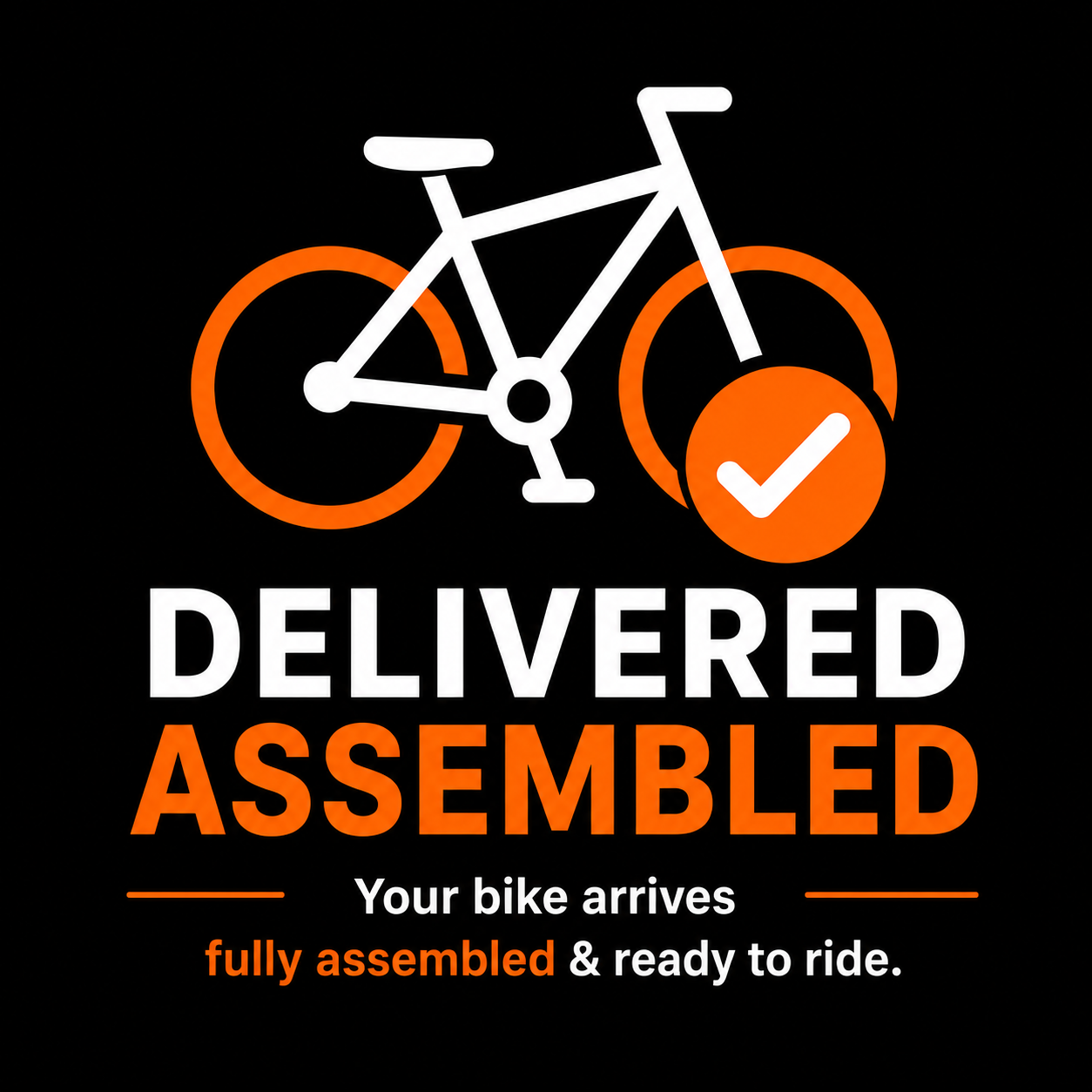 Delivery ( bike assembled )