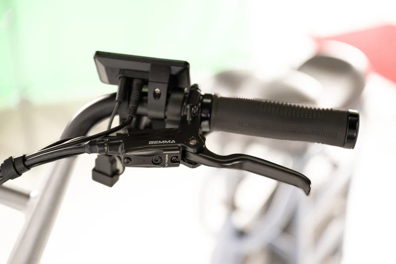 Vamos Amigo 2024 Compact Cargo E-Bike