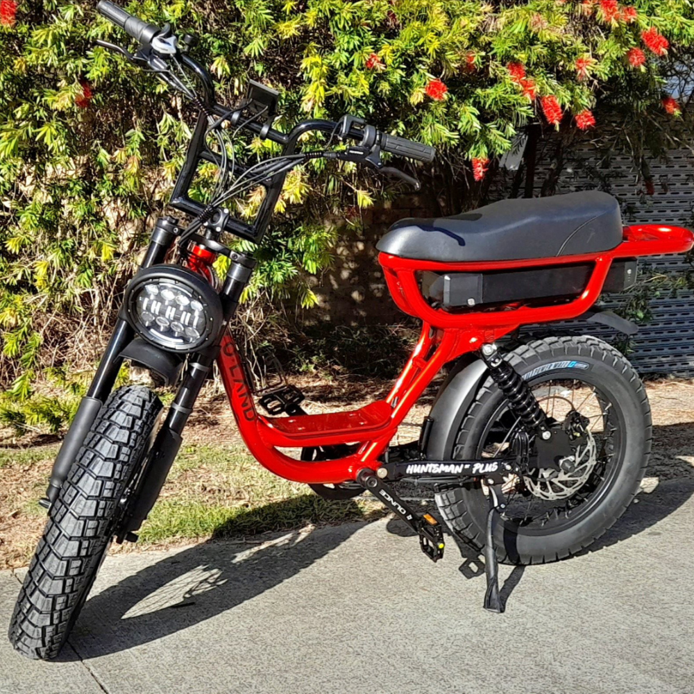 Red electric bike parked on a sidewalk with greenery and flowers in the background