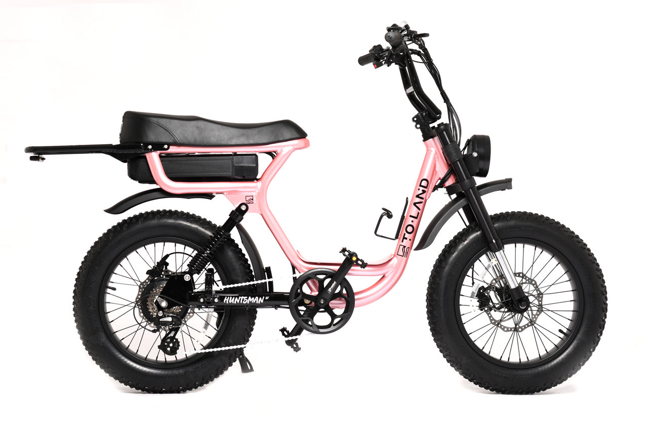 ToLand Huntsman ST E-Bike 500W 52V 15AH 780WH Battery | DUAL SUSPENSION