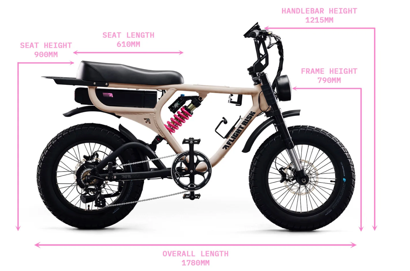 FR555 Flight RIsk - Fat Tyre Electric Bike