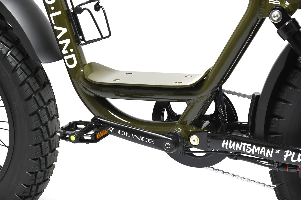 Electric Bike Pedals