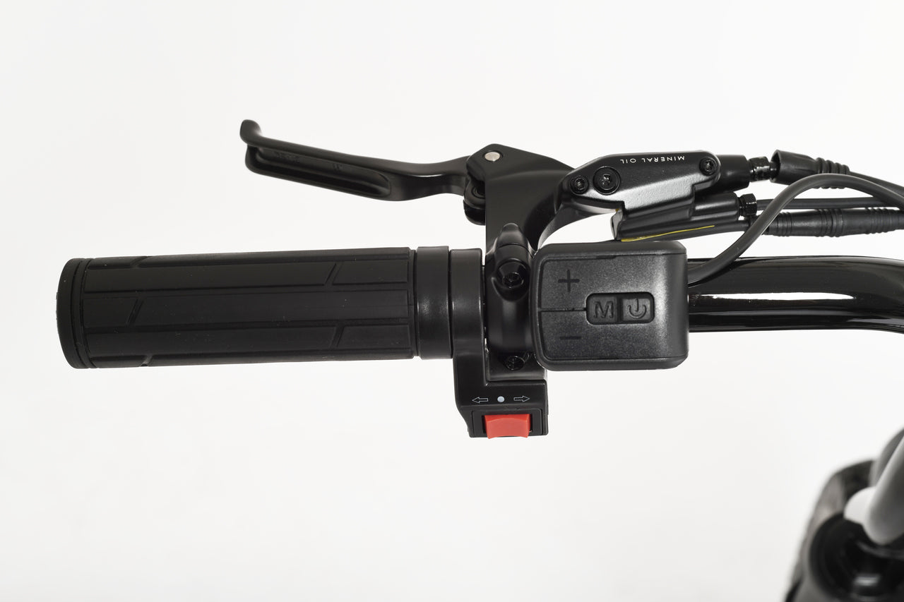Electric Bike Handlebar