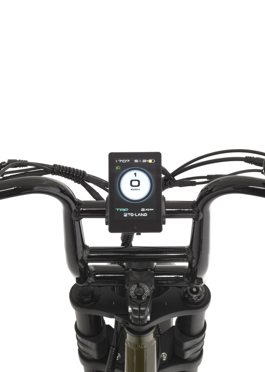 Electric Bike Display