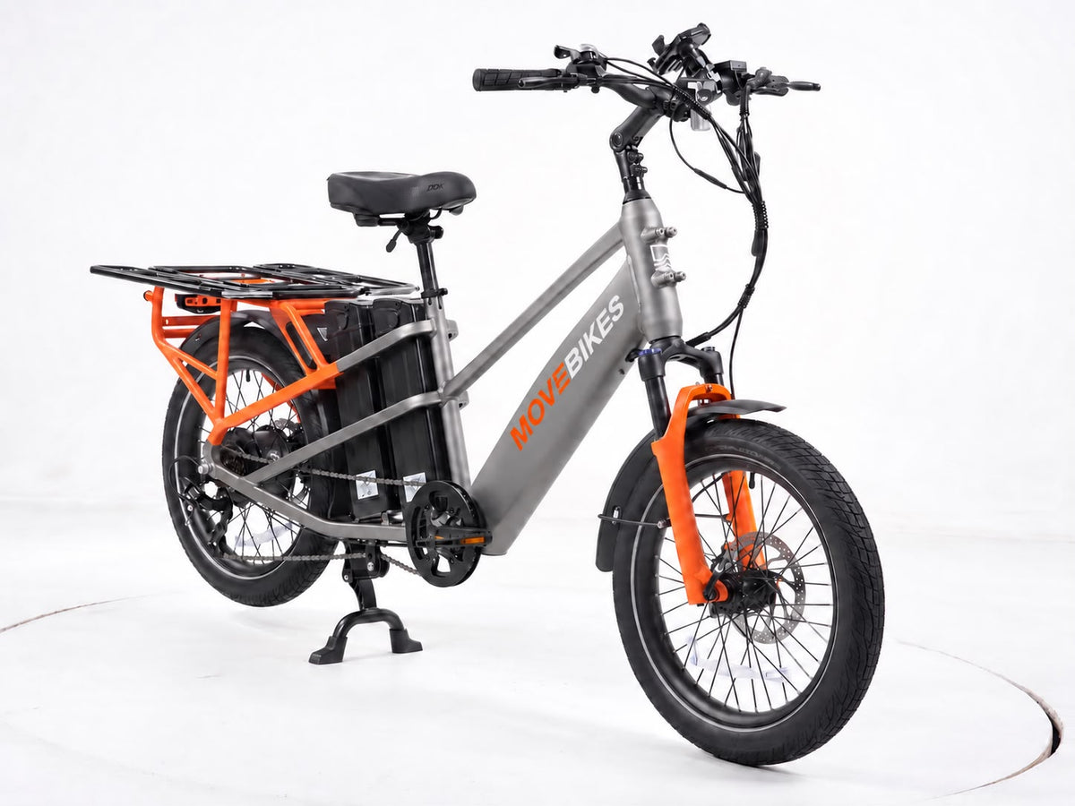 Carigo Carrier Delivery Bike