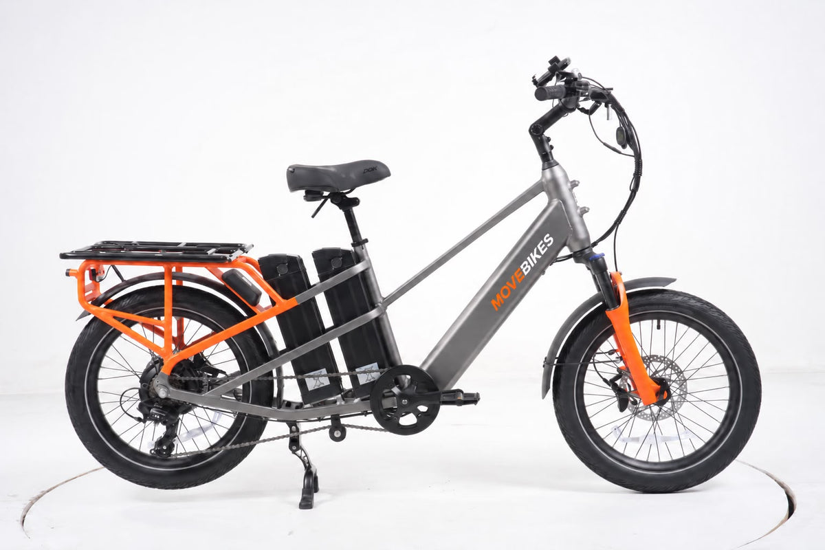 Carigo Carrier Delivery Bike