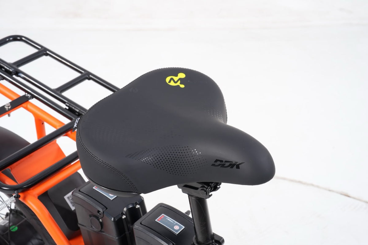Carigo Carrier Delivery Bike
