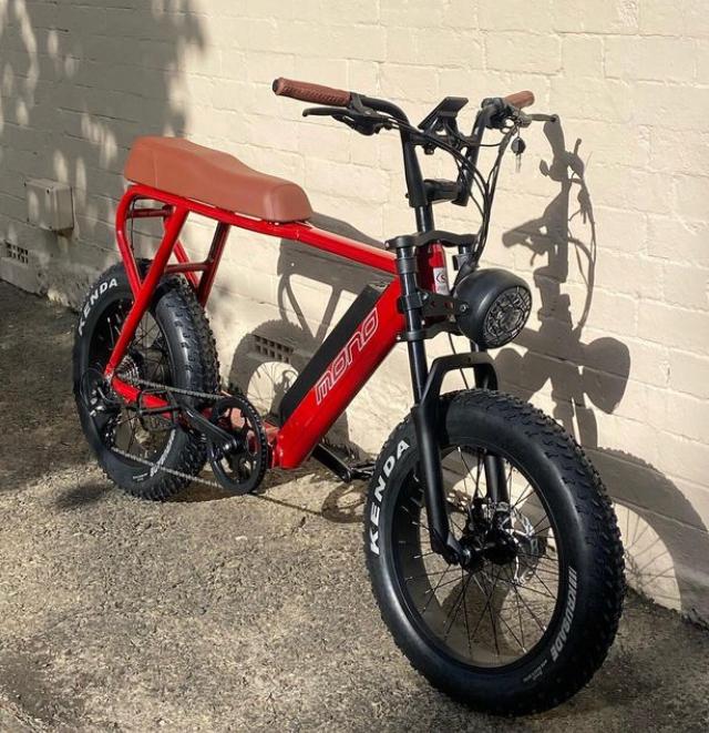 Mono Triton 48V 18Ah 500W Motor