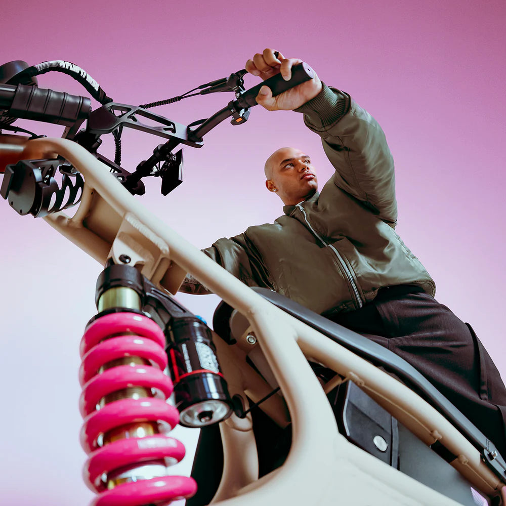 FR555 Flight RIsk - Fat Tyre Electric Bike
