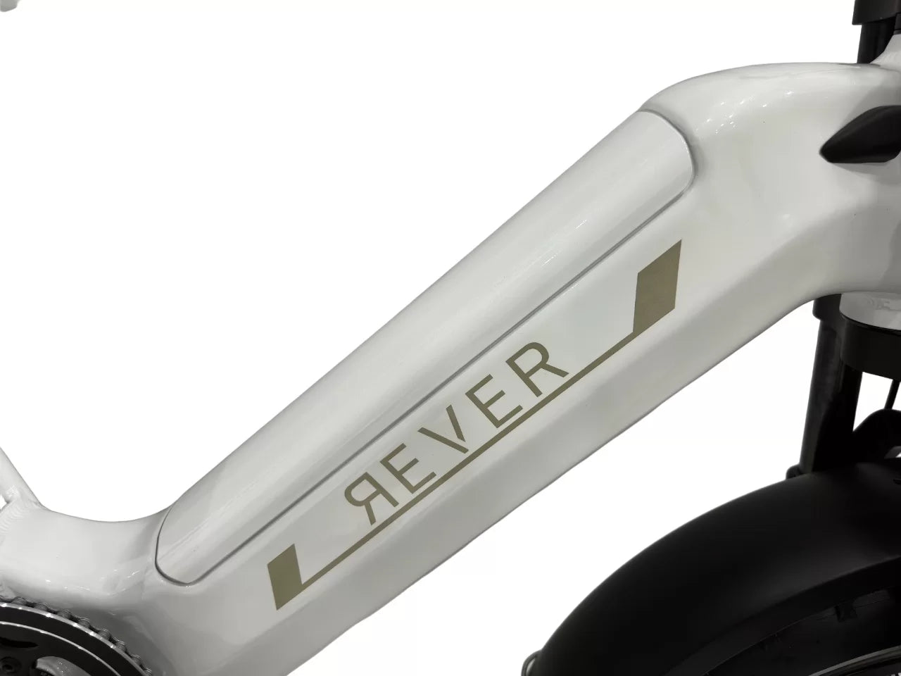 REVER SAFARI DS