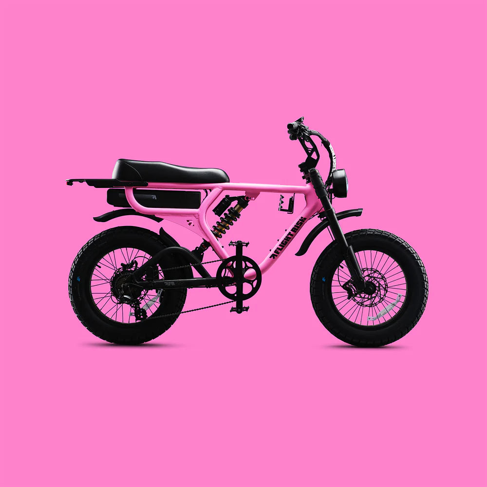 FR555 Flight RIsk - Fat Tyre Electric Bike
