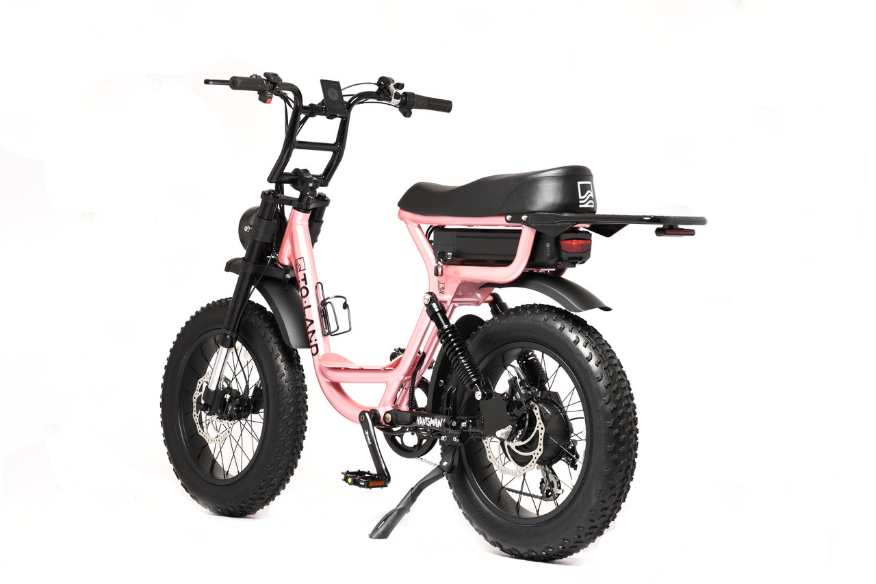 ToLand Huntsman ST E-Bike 500W 52V 15AH 780WH Battery | DUAL SUSPENSION