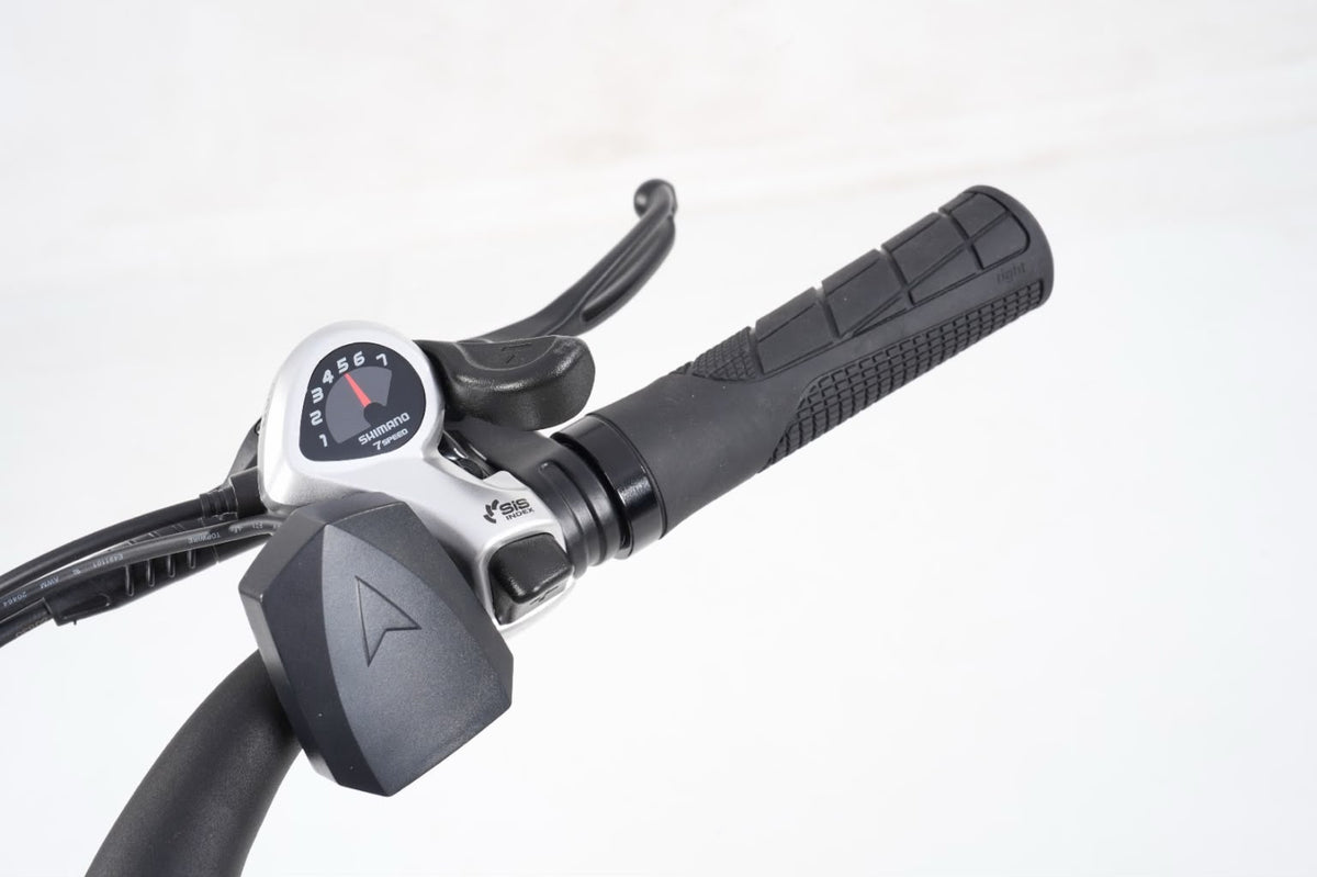 Carigo Carrier Delivery Bike