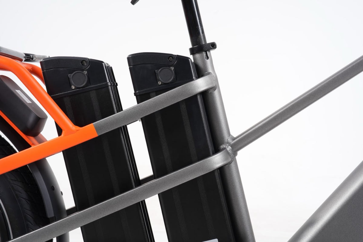 Carigo Carrier Delivery Bike